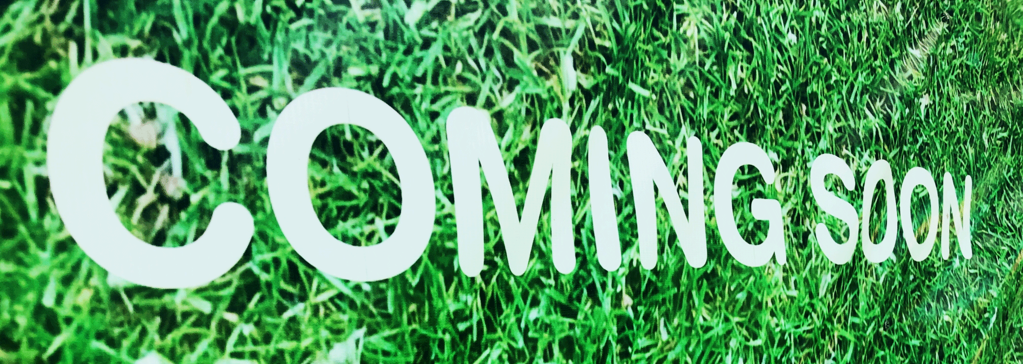 인재 혁신 프로젝트